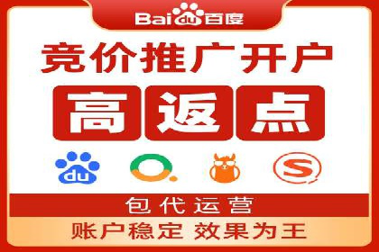 专业SEM服务公司案例分析报告